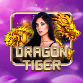Dragon Tiger Tables game live casino